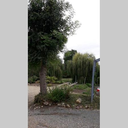 Blaison-Saint-SulpiceEntre Vignes Et Loire公寓 外观 照片