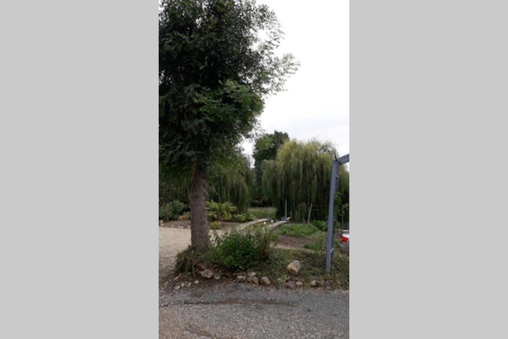 Blaison-Saint-SulpiceEntre Vignes Et Loire公寓 外观 照片